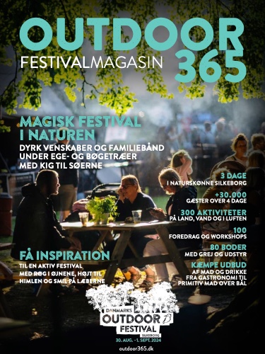 Festival Magasin